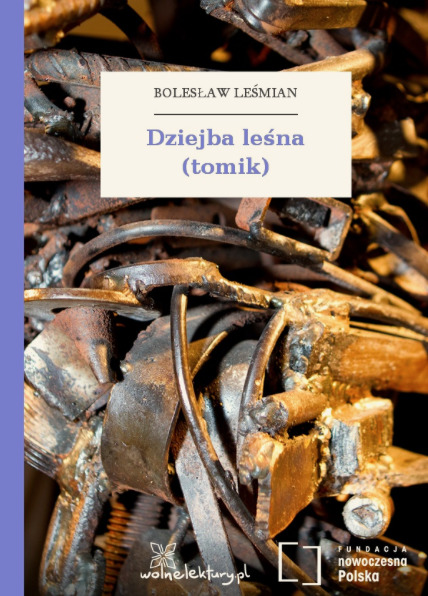 Dziejba leśna book cover