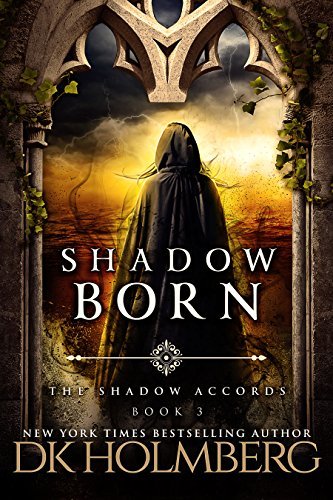 The Shadow Accords book cover 3