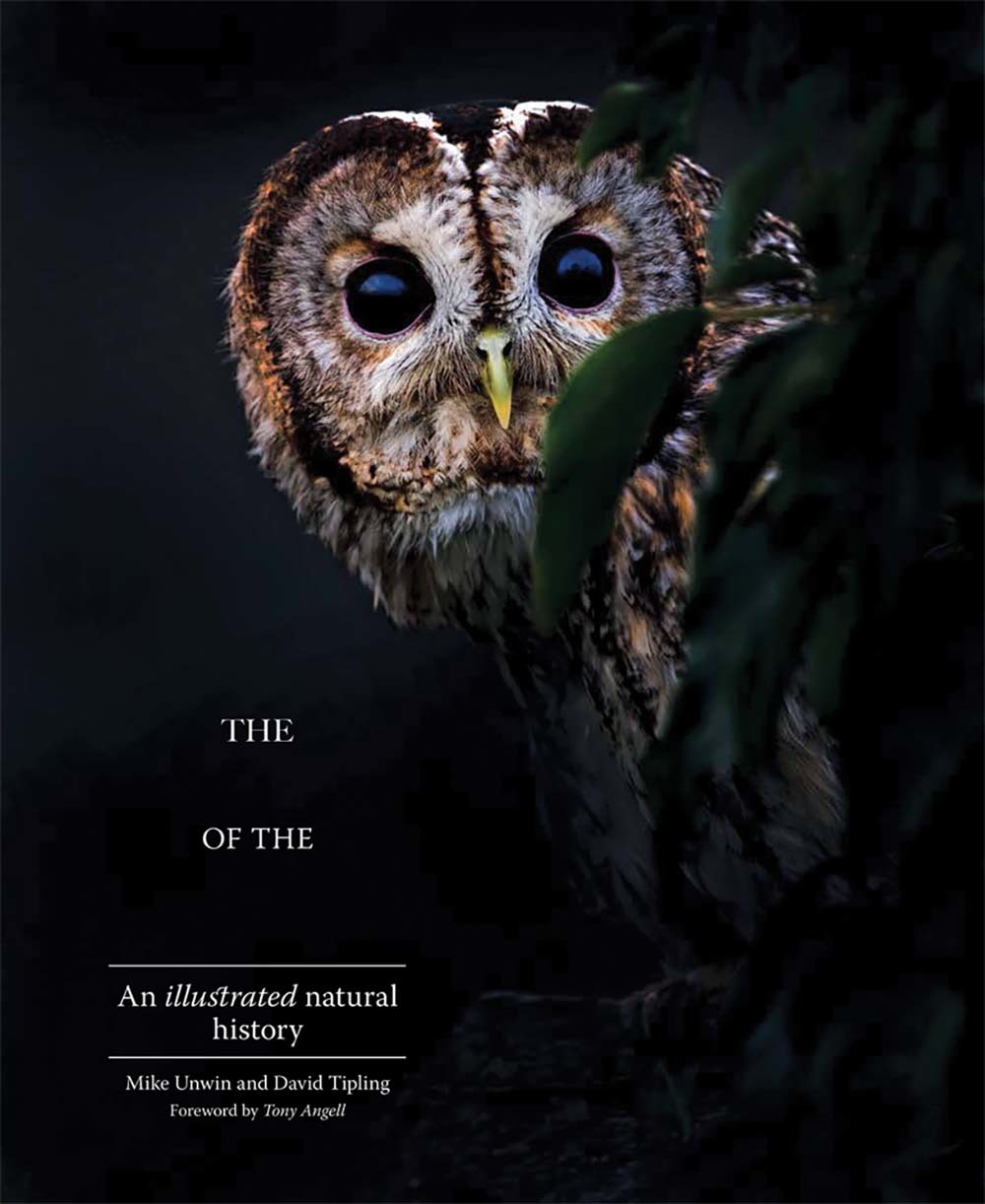 The Enigma of the Owl An Illustrated Natural History by Mike Unwin