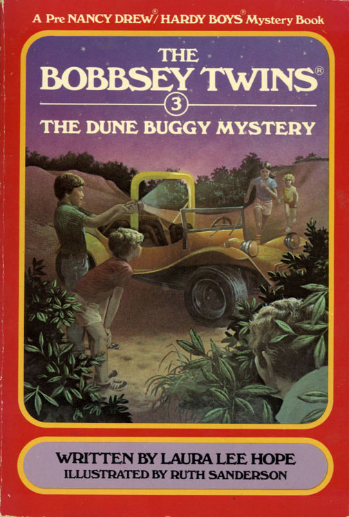 Bobbsey Twins book cover 3