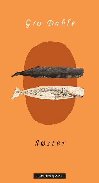 Søster book cover