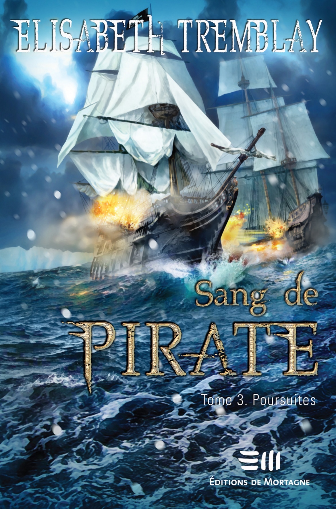 Sang de Pirate book cover 2