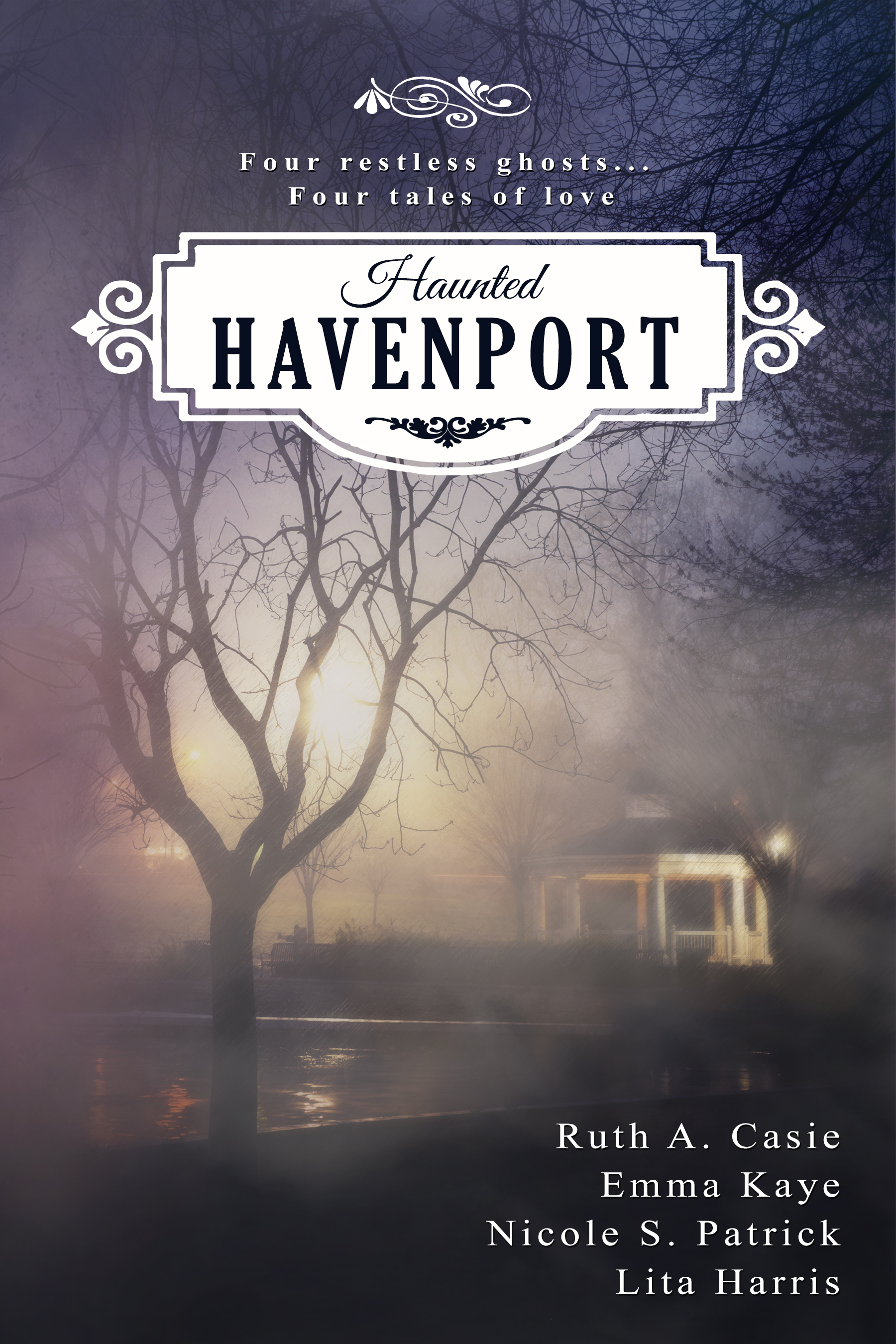 Haunted Havenport book cover