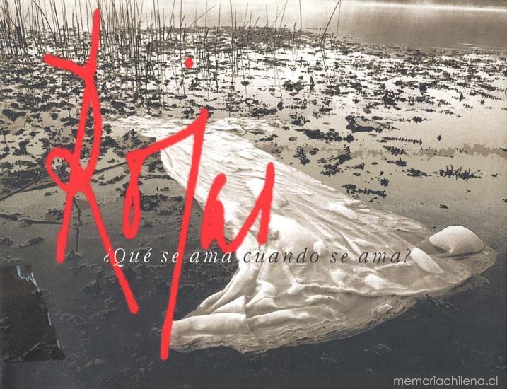 ¿Qué se ama cuando se ama? book cover