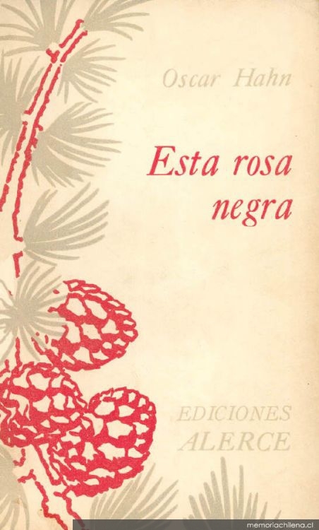 Esta Rosa Negra