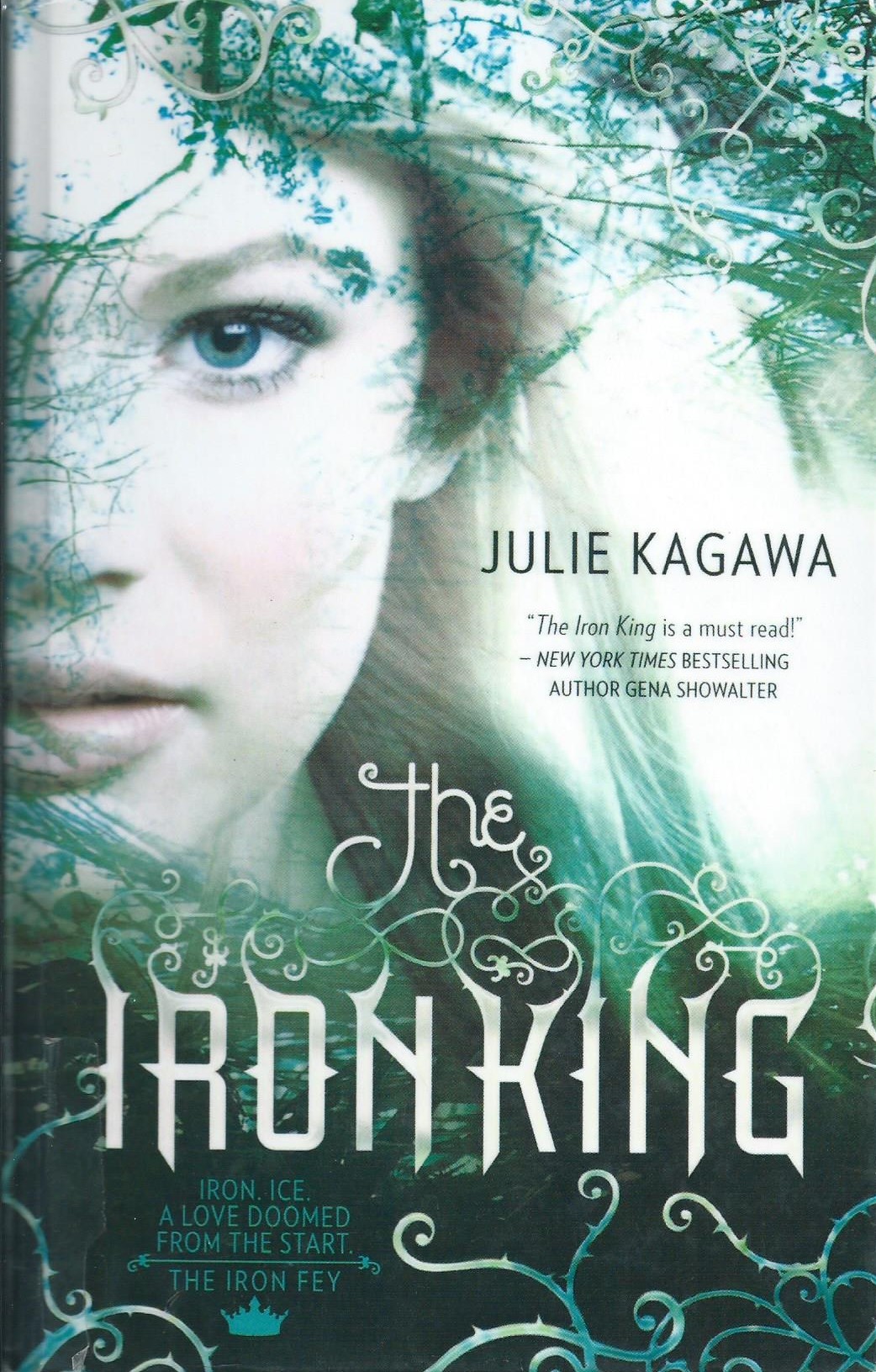 The Iron King (The Iron Fey, #1)