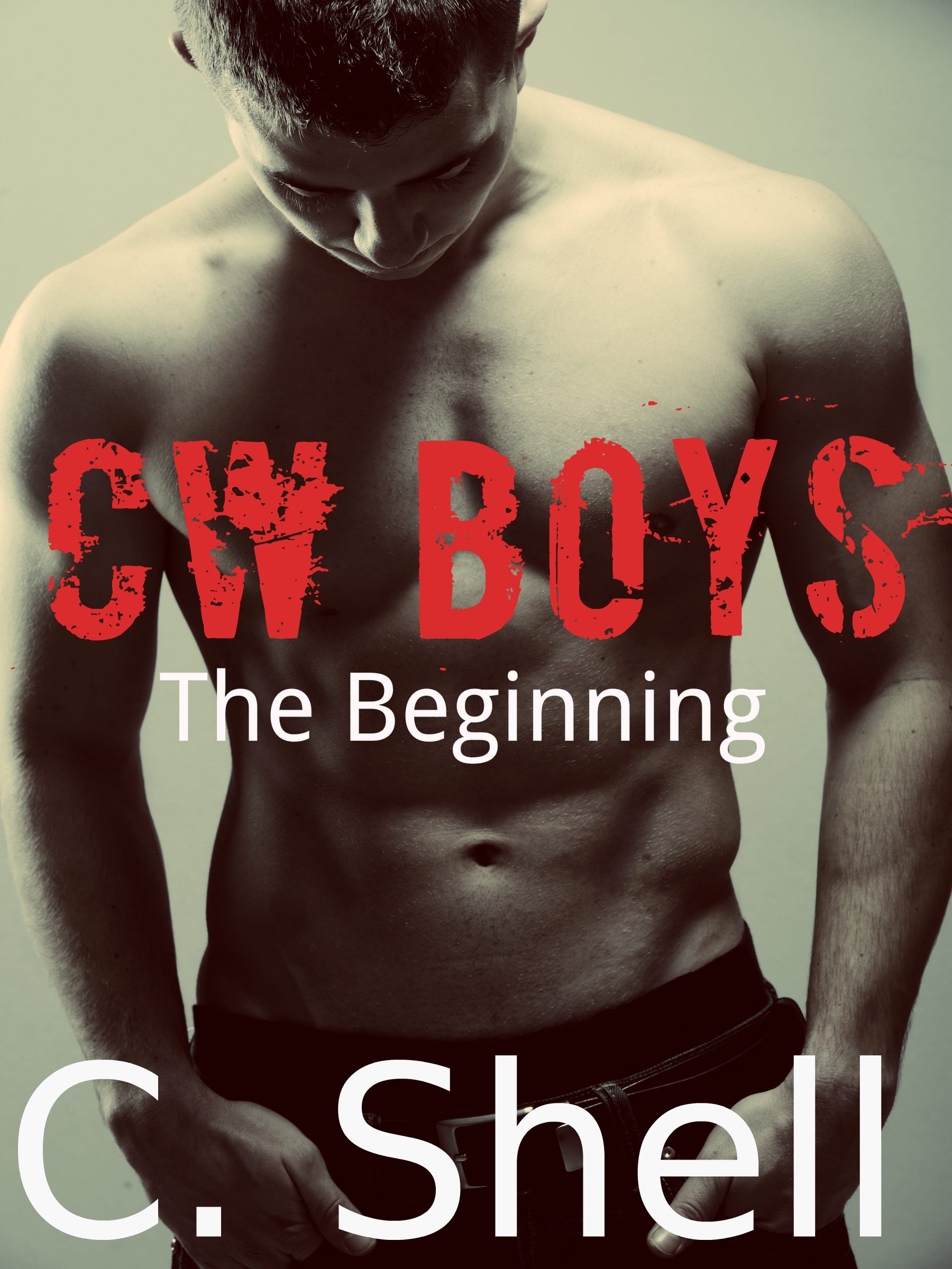 CW Boys: The Beginnings by C. Shell | Goodreads