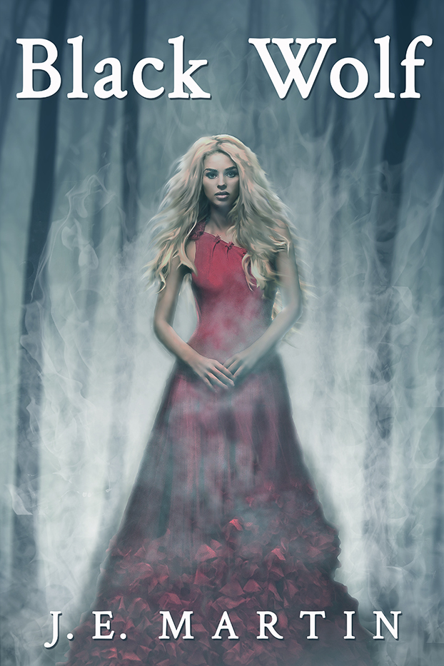 Black Wolf book cover 1