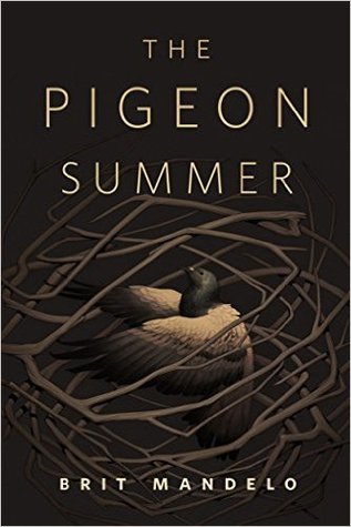 The Pigeon Summer book cover