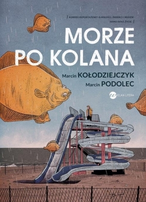 Morze po kolana book cover