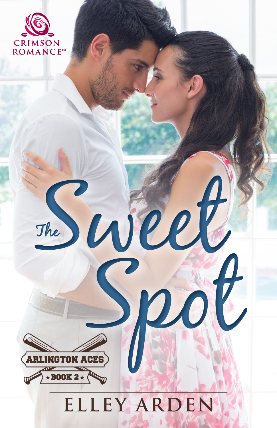 The Sweet Spot book cover