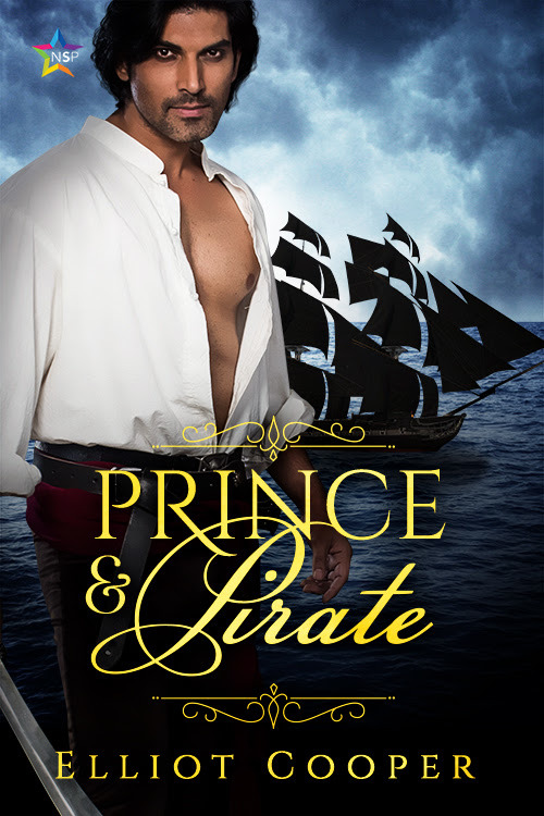 Prince & Pirate book cover