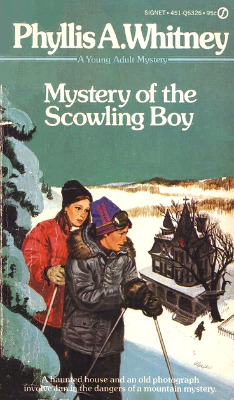 Mystery of the Scowling Boy book cover