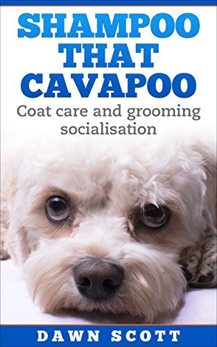 cavapoo puppy shampoo