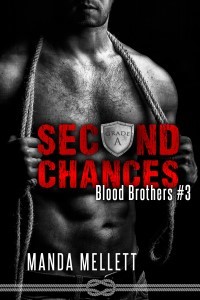 Blood Brothers book cover 3