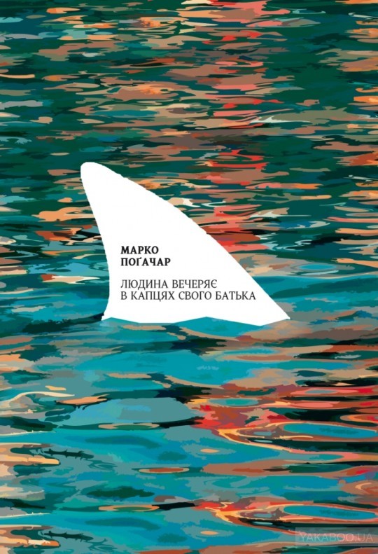 Людина вечеряє в капцях свого батька book cover