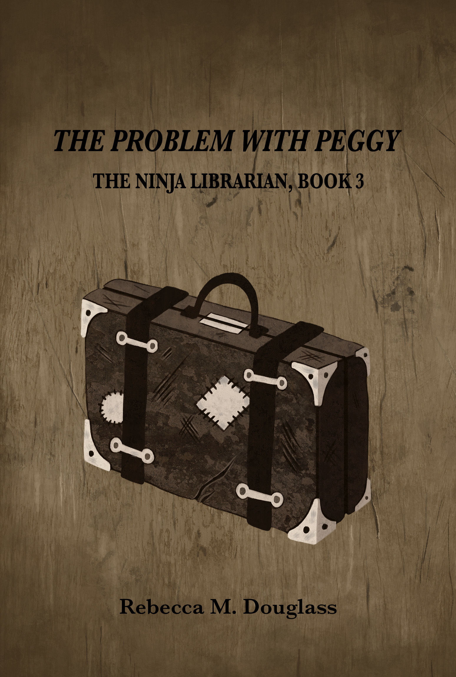The Ninja Librarian book cover 3