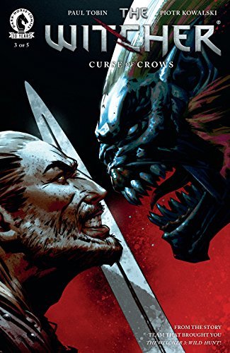 The Witcher book cover