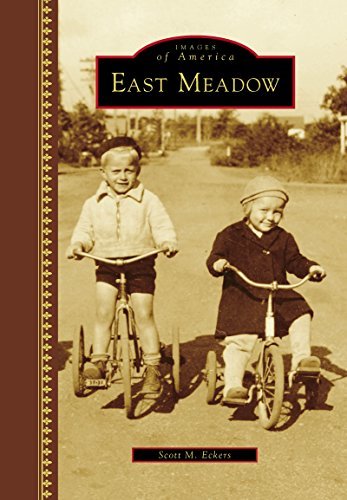 East Meadow book cover