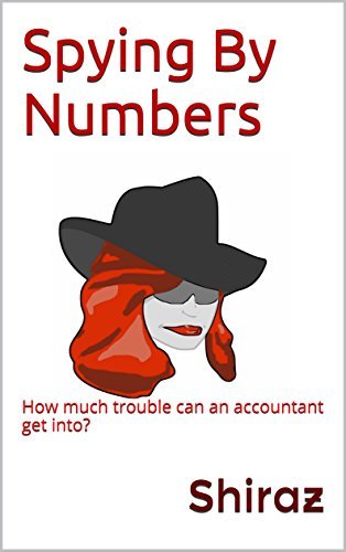 Spying By Numbers: How much trouble can an accountant get into?