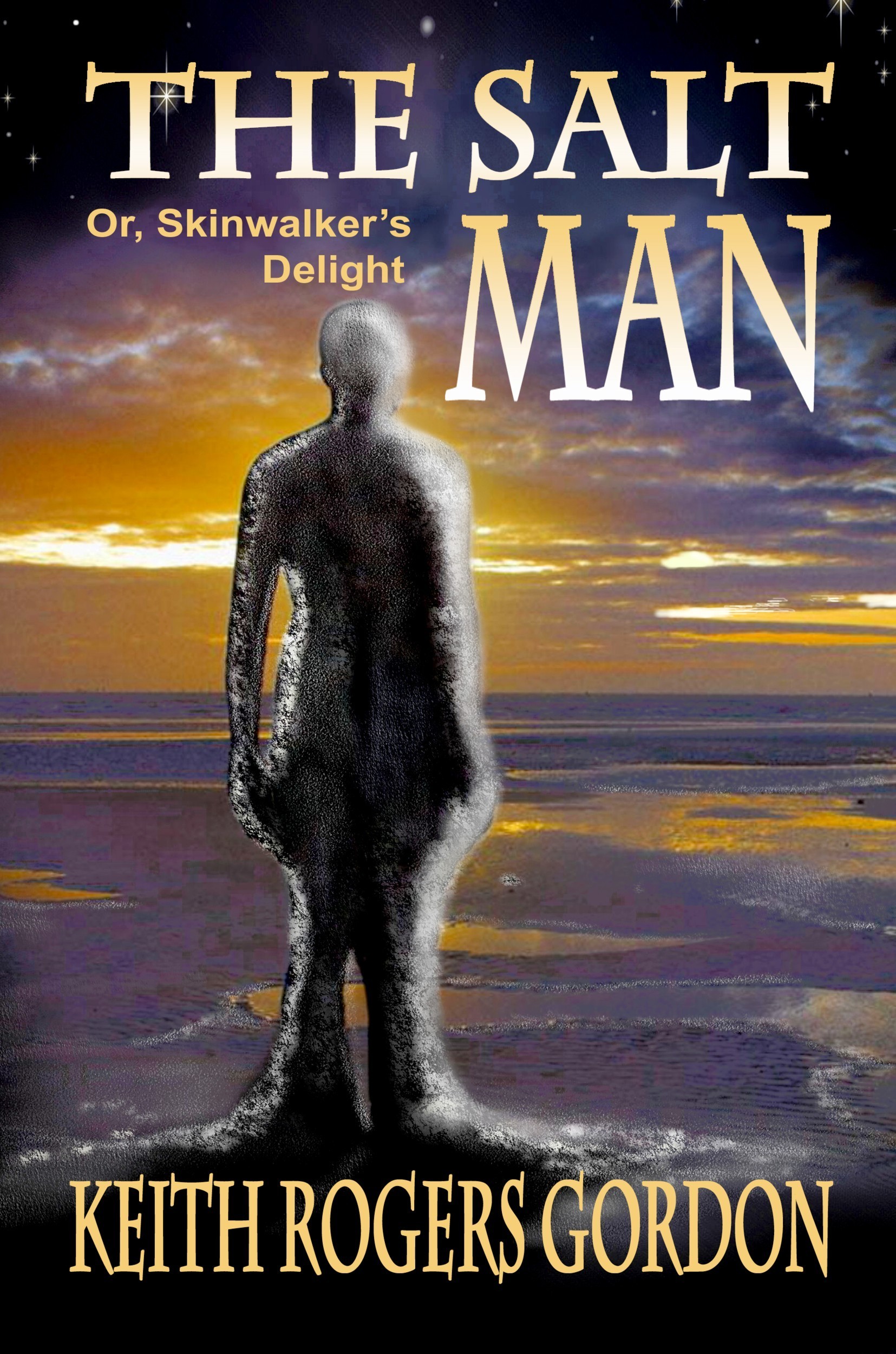 The Salt Man by Keith Rogers Gordon Goodreads