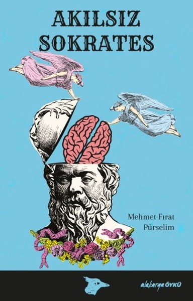 Akılsız Sokrates book cover