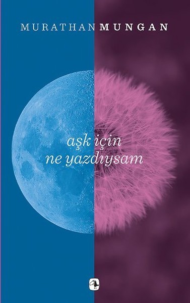 Aşk İçin Ne Yazdıysam book cover