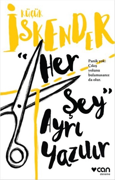 Her Şey Ayrı Yazılır book cover