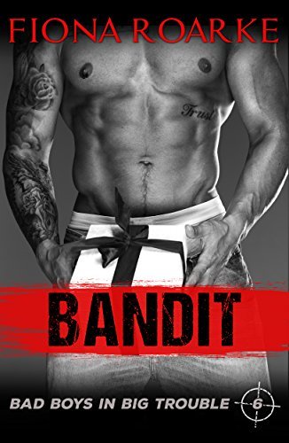 Bandit book cover