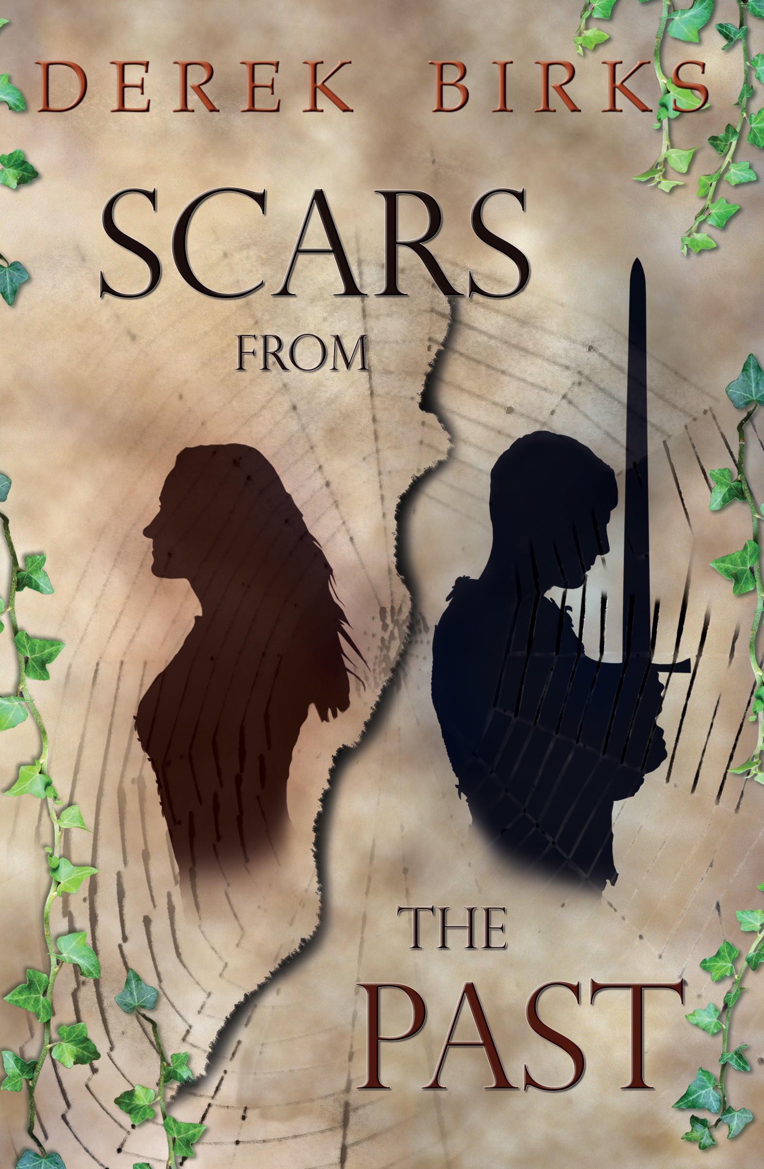 Scars From The Past book cover