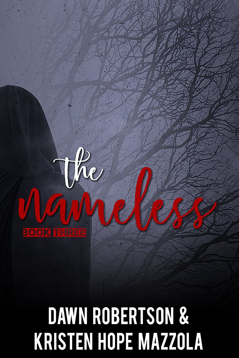 The Nameless book cover