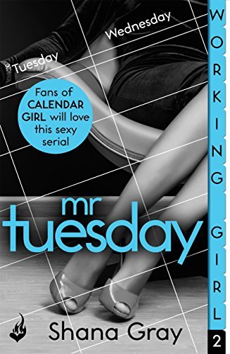 Mr Tuesday book cover