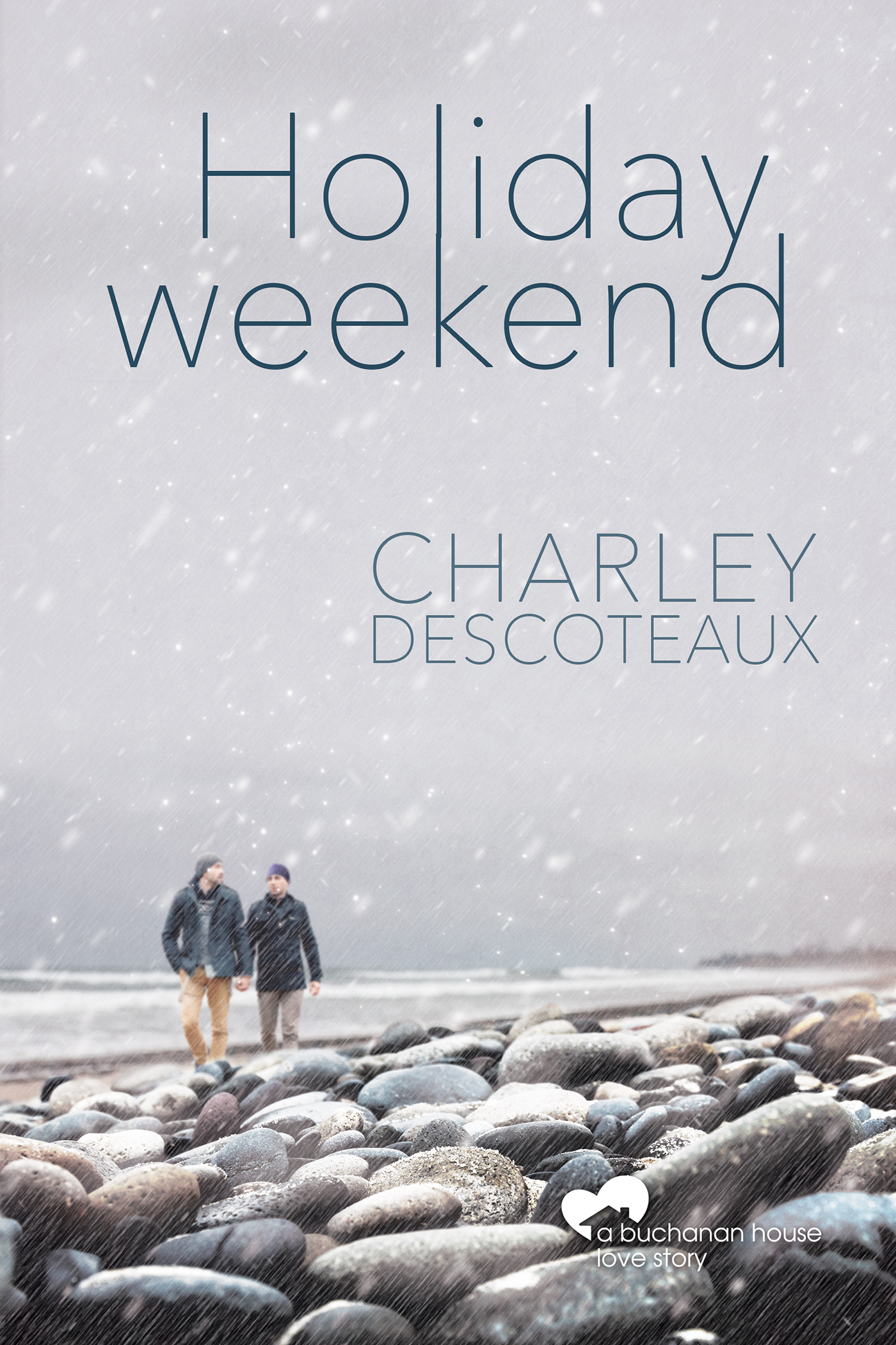 Holiday Weekend book cover