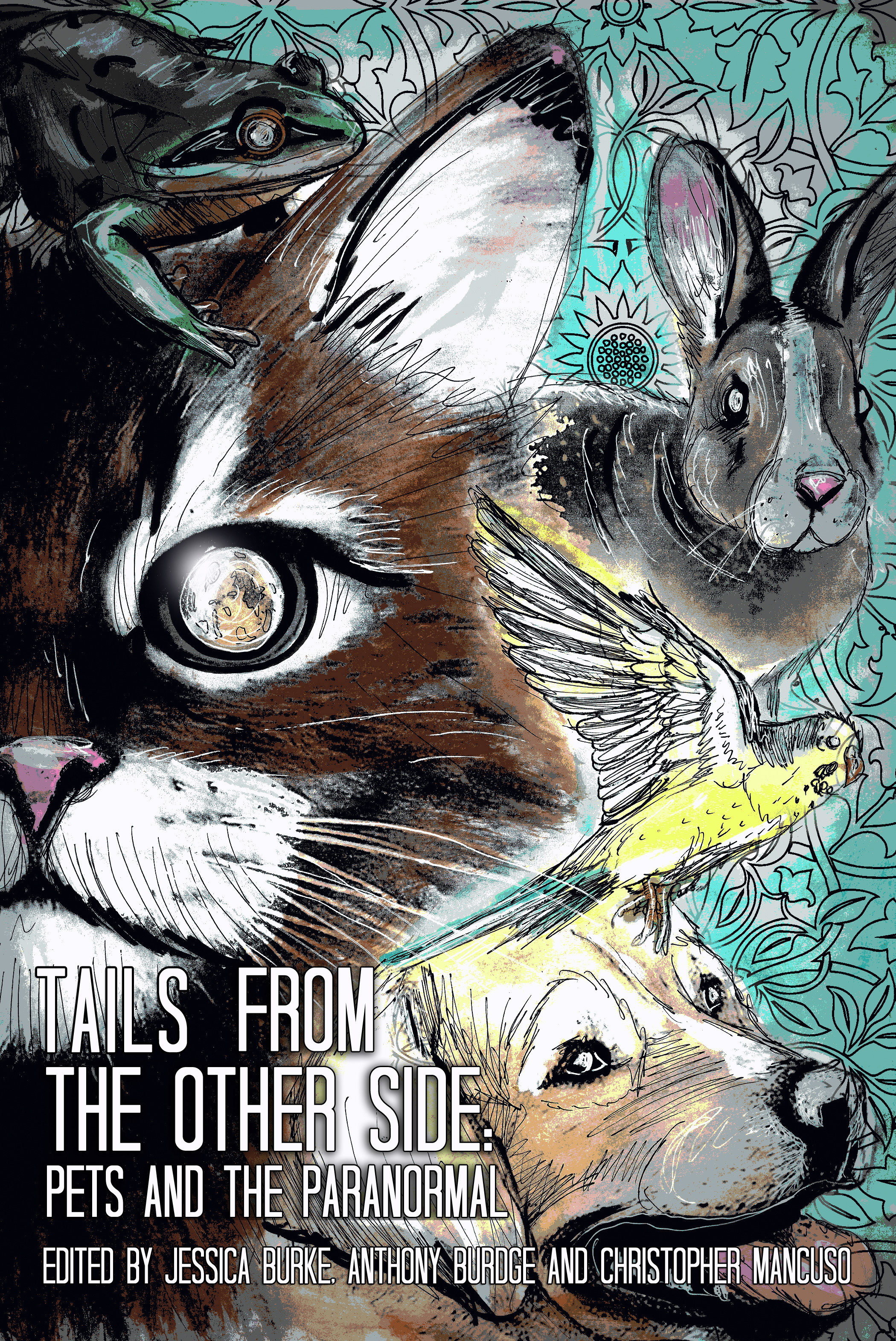 Tails from the Other Side book cover