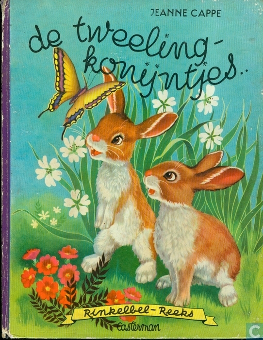 De tweeling konijntjes book cover