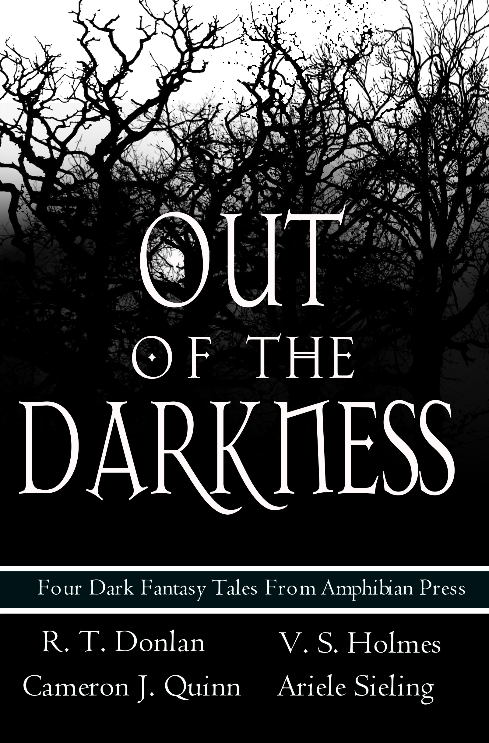 Out of the Darkness by Amy Spitzfaden | Goodreads