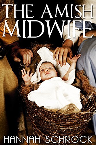 The Amish Midwife book cover