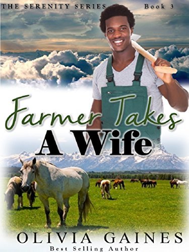 Farmer Takes a Wife book cover