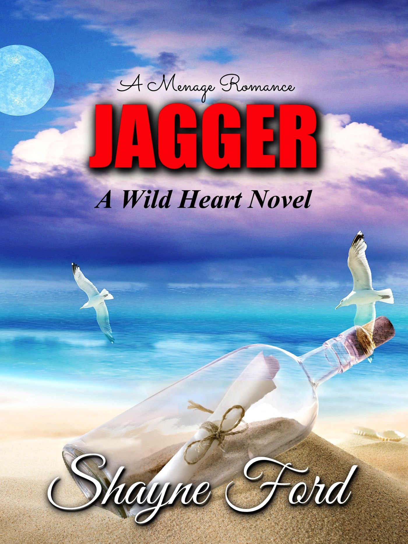 Jagger book cover