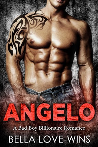Angelo book cover