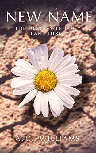 Morningstar: Destiny Trilogy book cover 3