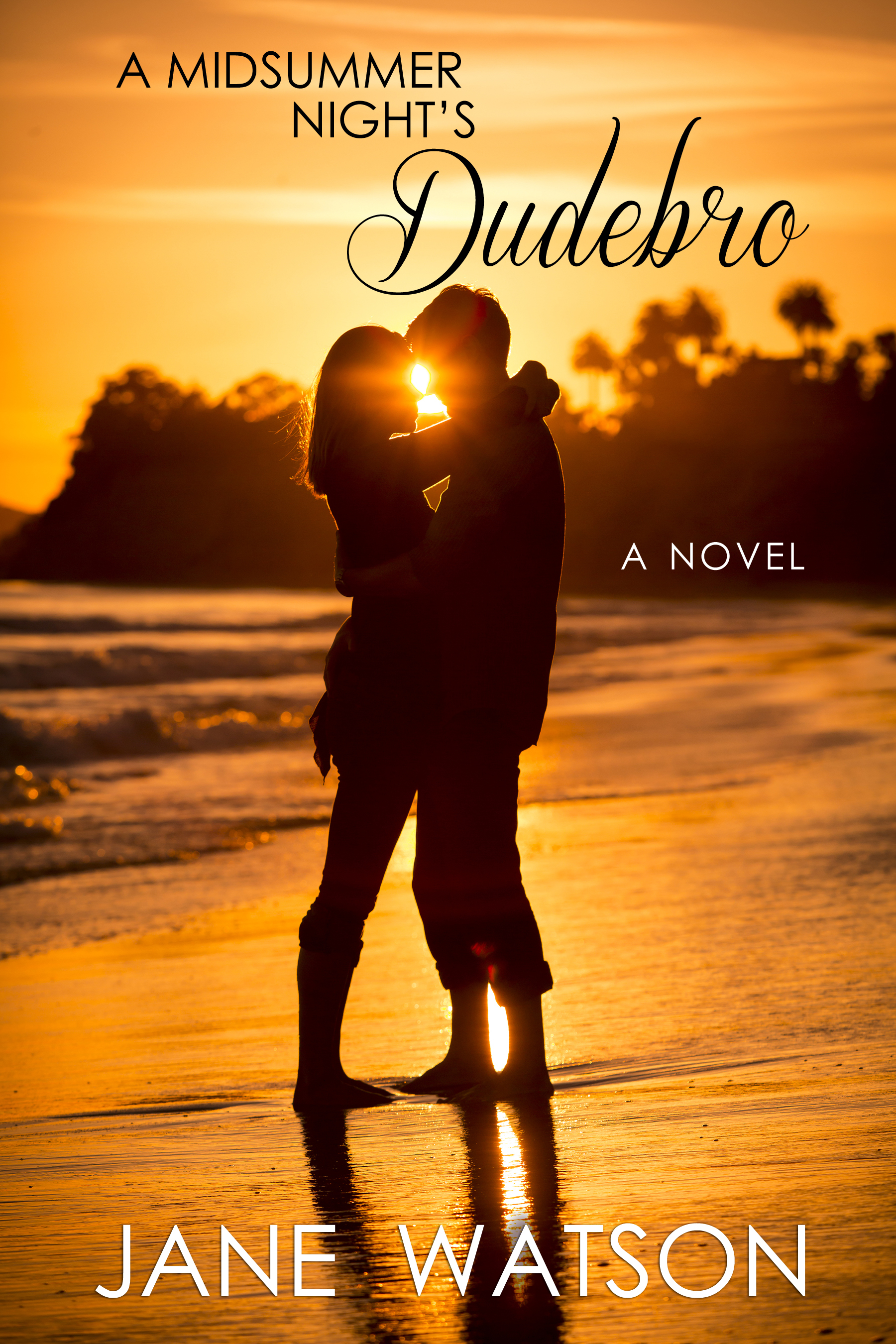 The Dudebro Series book cover 2
