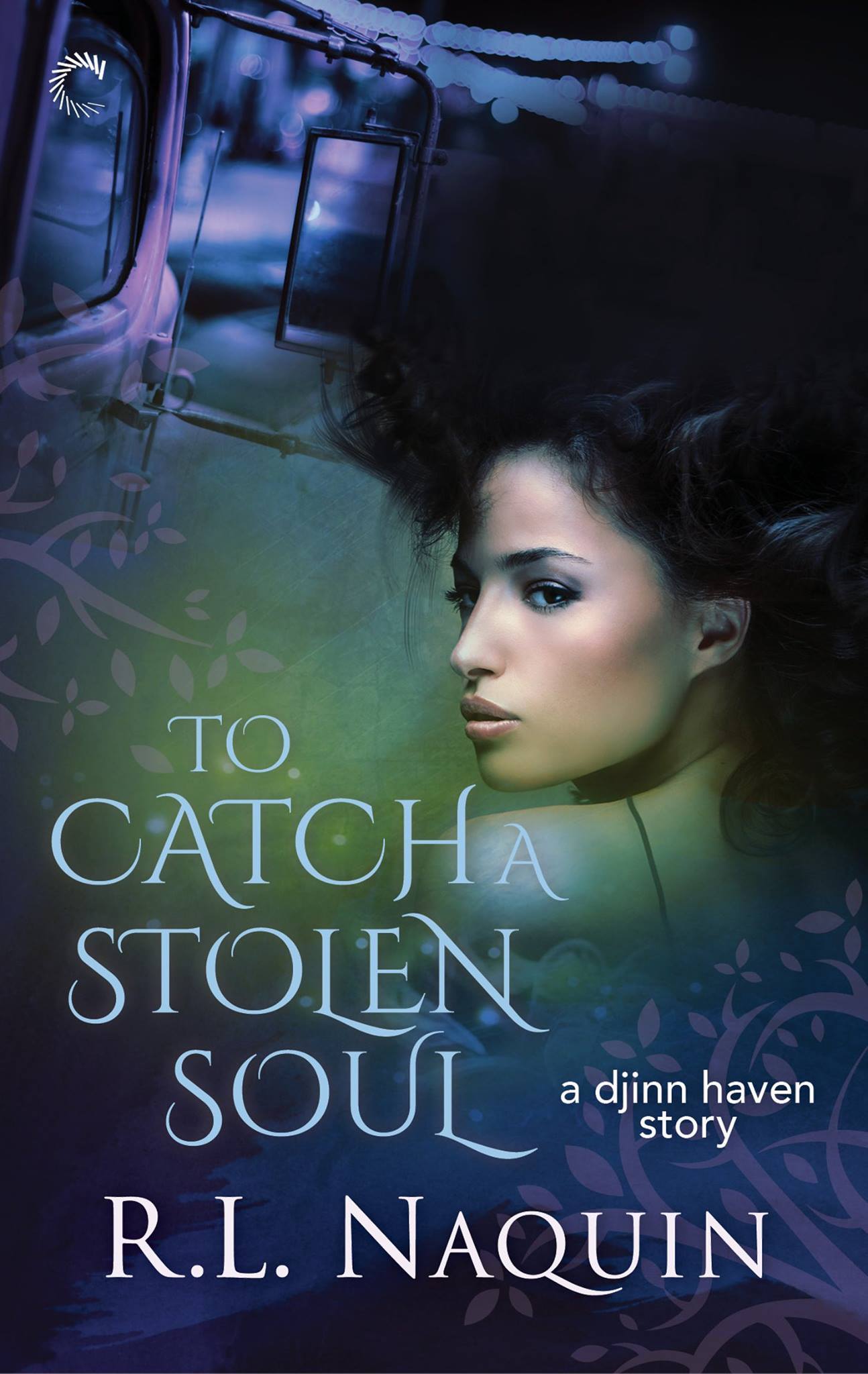 To Catch a Stolen Soul book cover
