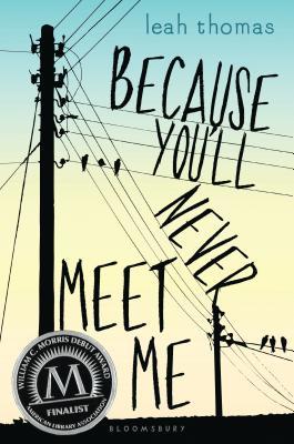 Because You'll Never Meet Me (Because You'll Never Meet Me #1)