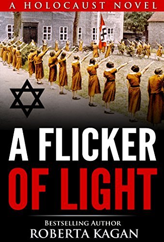 A Flicker of Light book cover