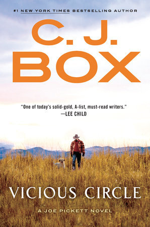 Vicious Circle book cover