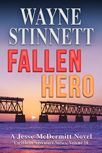 Fallen Hero book cover