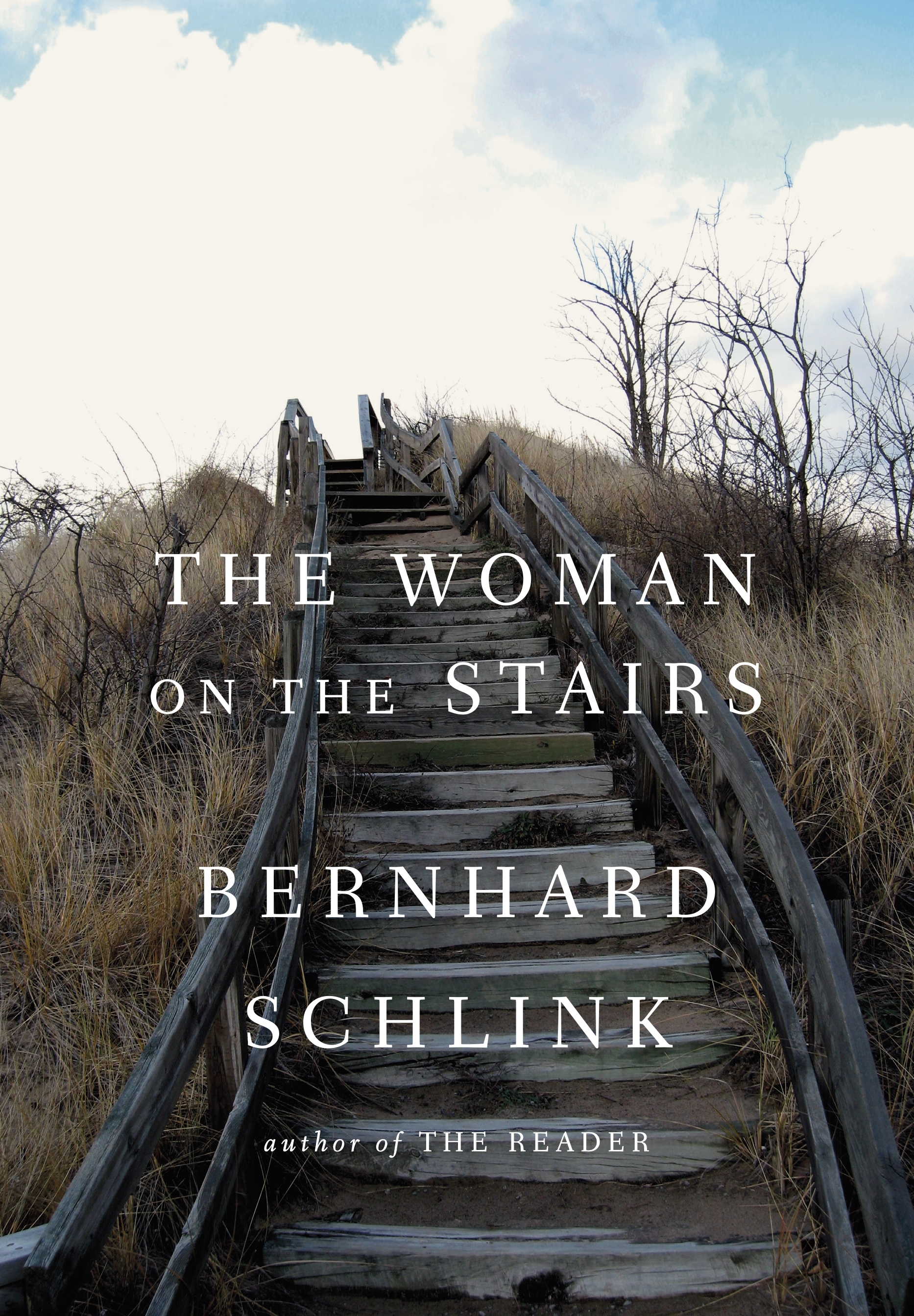 cover img of The Woman on the Stairs
