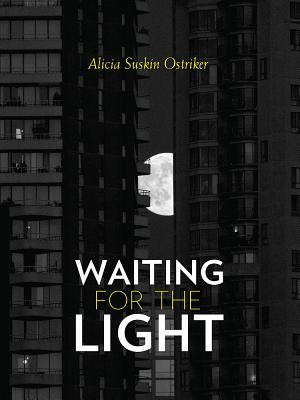 Waiting for the Light book cover