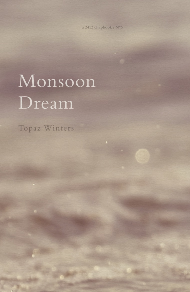 Monsoon Dream book cover